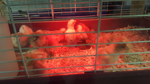 Pet Supply Store «Pet Supreme», reviews and photos, 12823 Foothill Blvd, Sylmar, CA 91342, USA