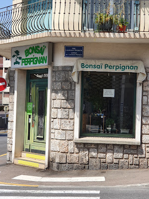 Bonsaï Perpignan à Perpignan
