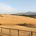Photo n°10 de l'avis de Vittorio.e fait le 06/08/2022 à 10:12 sur le  Agriturismo Bonello à Pienza