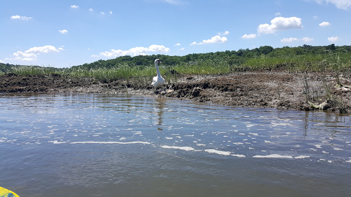 Golf Course «Smithtown Landing Golf Course», reviews and photos, 495 Landing Ave, Smithtown, NY 11787, USA