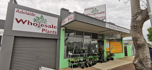 Adelaide Wholesale Plants