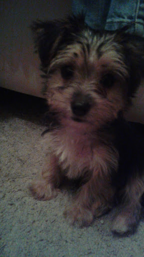 Pet Store «Pet Valu», reviews and photos, 401 Harmony Rd, Gibbstown, NJ 08027, USA