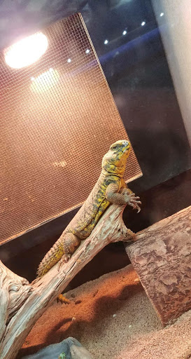 Pet Supply Store «Atlas Pet Supply», reviews and photos, 17375 US-10, Elk River, MN 55330, USA