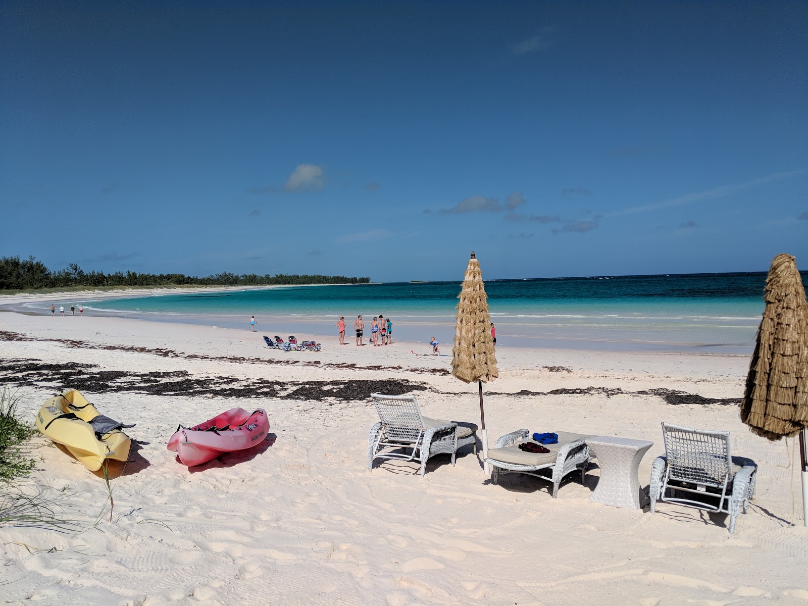French Leave beach'in fotoğrafı biraz temiz temizlik seviyesi ile