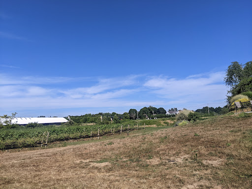 Vineyard «Duck Walk Vineyard», reviews and photos, 231 Montauk Hwy, Water Mill, NY 11976, USA