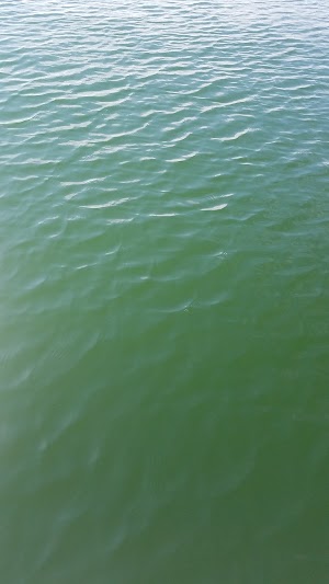 Lake Pleasant Harbor - photo 27