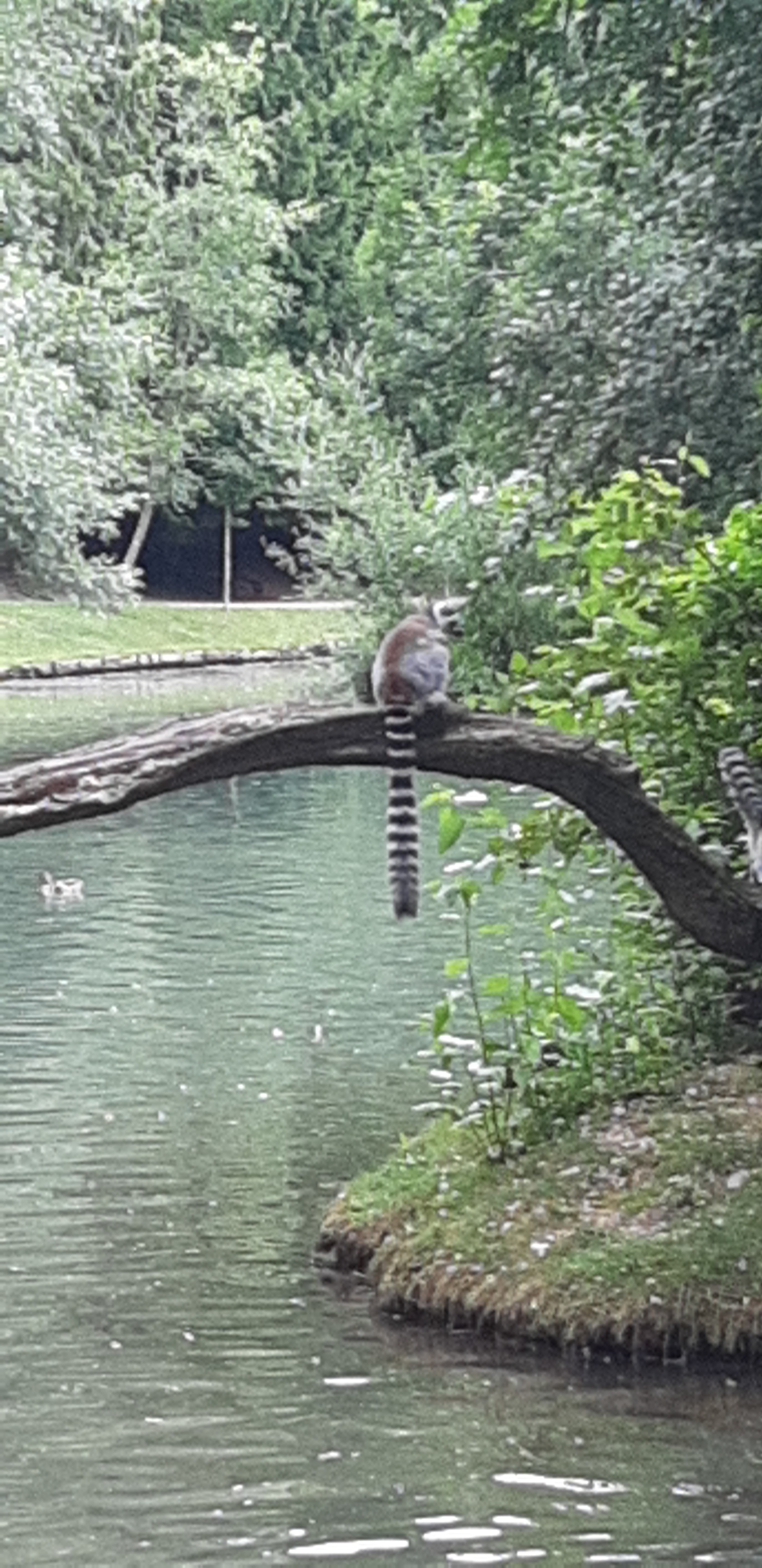 Photo n° 3 de l'avis de Jean.u fait le 30/06/2023 à 14:12