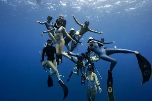 Dive Right Into 自由潛水 image