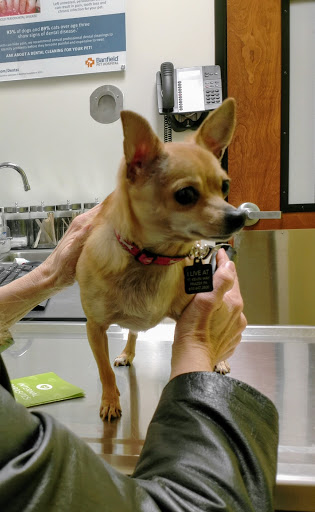 Pet Supply Store «PetSmart», reviews and photos, 131 Town Center Rd, King of Prussia, PA 19406, USA