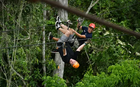 Los Veranos Canopy Tour (Main Office) image