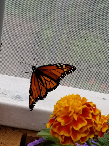 Golf Club «Pinecrest Golf Club», reviews and photos, 212 Prentice St, Holliston, MA 01746, USA