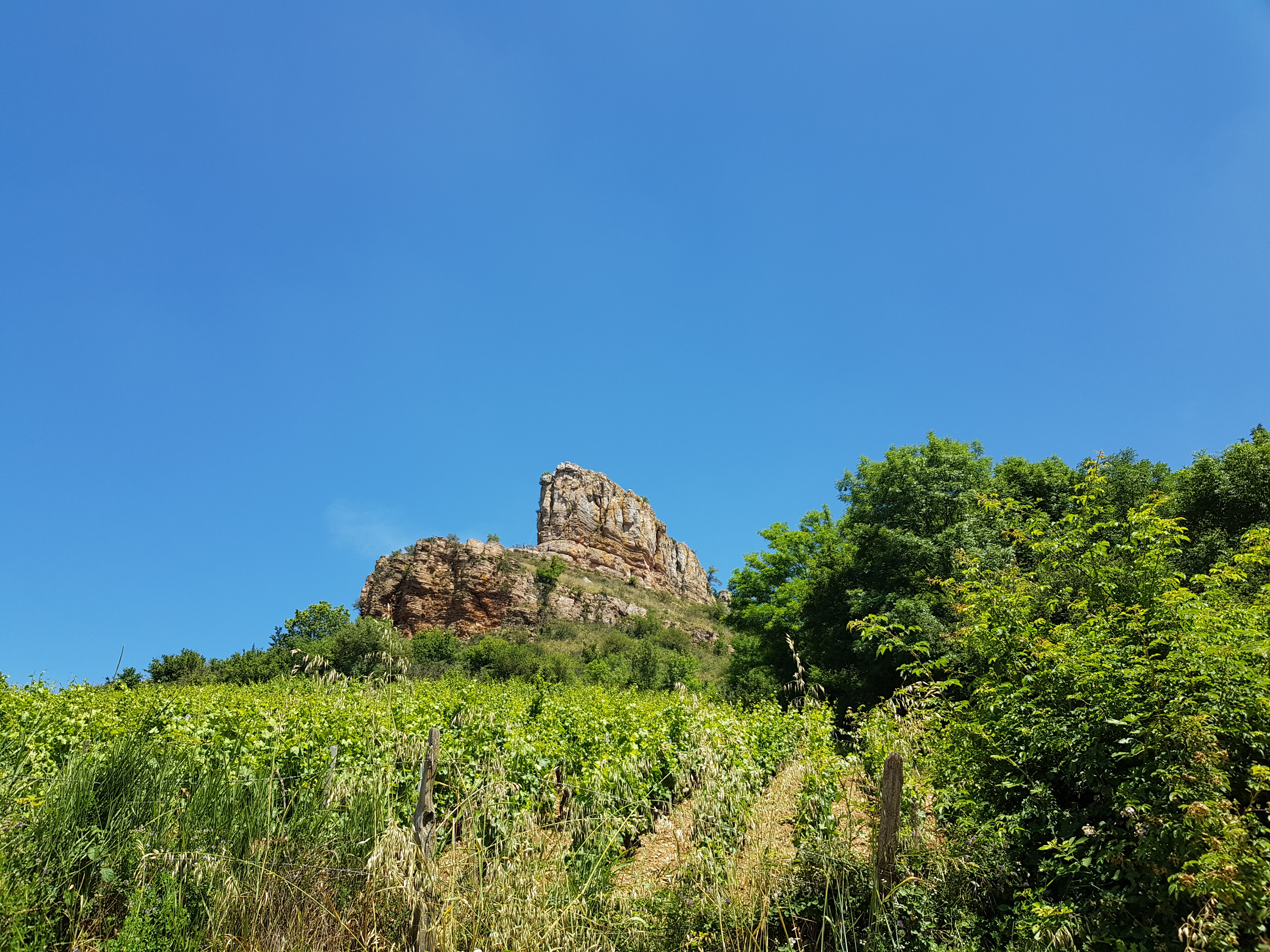 Photo n° 14 de l'avis de Philippe.l fait le 30/06/2021 à 17:28