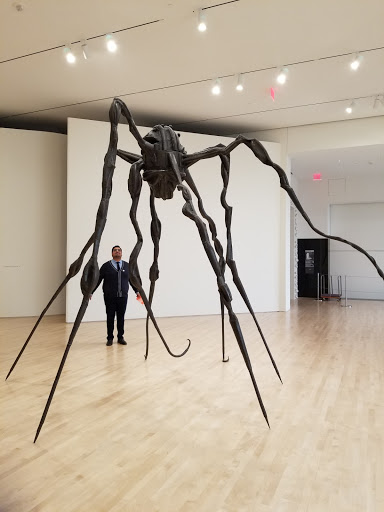 Gift Shop «SFMOMA Museum Store», reviews and photos, 151 3rd St, San Francisco, CA 94103, USA