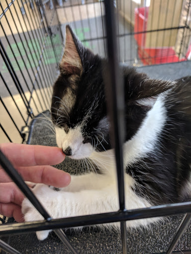 Pet Supply Store «Petsense Fort Worth», reviews and photos, 1408 Eastchase Pkwy #100, Fort Worth, TX 76120, USA