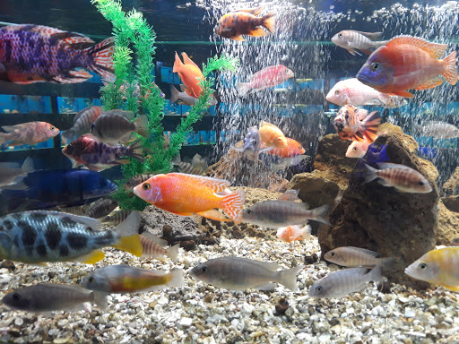 Pet Supply Store «Pet Expo Distributors», reviews and photos, 1800 Adams St, Mankato, MN 56001, USA