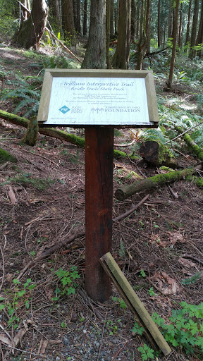 State Park «Bridle Trails State Park», reviews and photos, 5300 116th Ave. N.W., Kirkland, WA 98033, USA