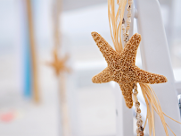 Beachside Weddings - Photo 9 - Car repair in , Panama City