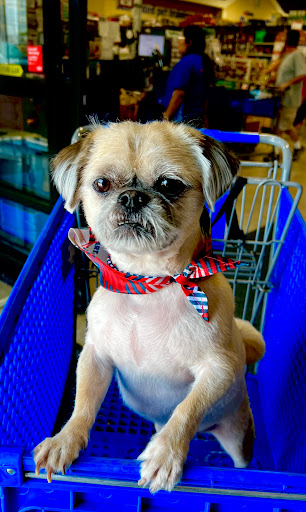 Pet Supply Store «PetSmart», reviews and photos, 1301 W Gladstone St, Glendora, CA 91740, USA