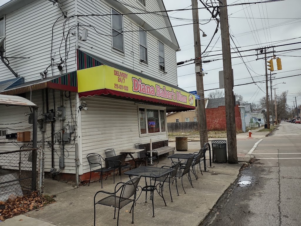 Diana Baker's Diner 44102