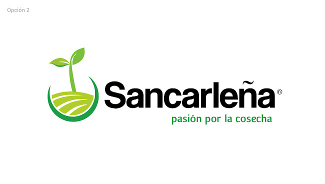 Comercial Agricola Sancarlena
