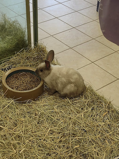 Pet Supply Store «Bushnell Feed & Pet Supply», reviews and photos, 8056 C 476B, Bushnell, FL 33513, USA