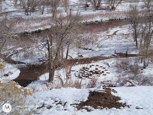 Nature Preserve «Bluff Lake Nature Center», reviews and photos, 3400 Havana Way, Denver, CO 80238, USA