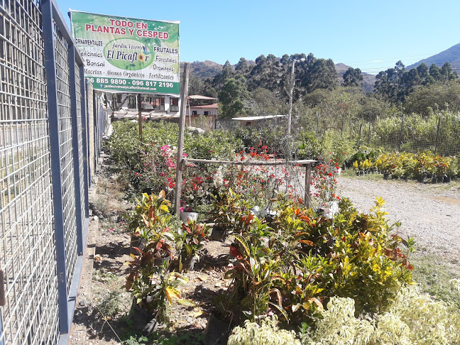 Opiniones de Jardin Vivero EL PICAFLOR en Loja - Centro de jardinería