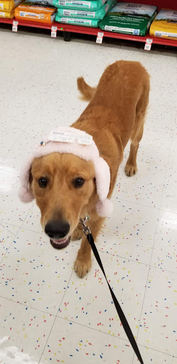 Pet Supply Store «Petco Animal Supplies», reviews and photos, 20111 US-19 #201c, Cranberry Twp, PA 16066, USA