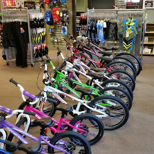 Bicycle Repair Shop «Bainbridge Island Cycle Shop», reviews and photos, 124 Bjune Dr SE, Bainbridge Island, WA 98110, USA