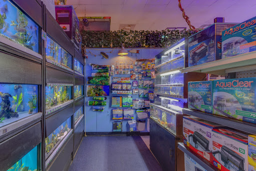 Pet Store «Discount Pets & Supplies», reviews and photos, 211 Hancock Bridge Pkwy, Cape Coral, FL 33990, USA