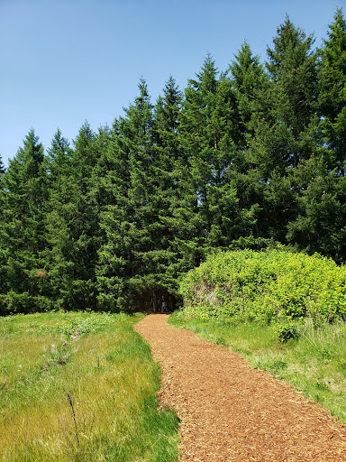 Golf Course «Chehalem Glenn Golf Course», reviews and photos, 4501 E Fernwood Rd, Newberg, OR 97132, USA