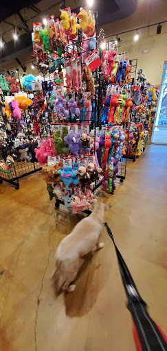Pet Supply Store «Phydeaux», reviews and photos, 6464 Tryon Rd, Cary, NC 27518, USA