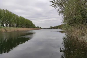 Gornje Podunavlje image