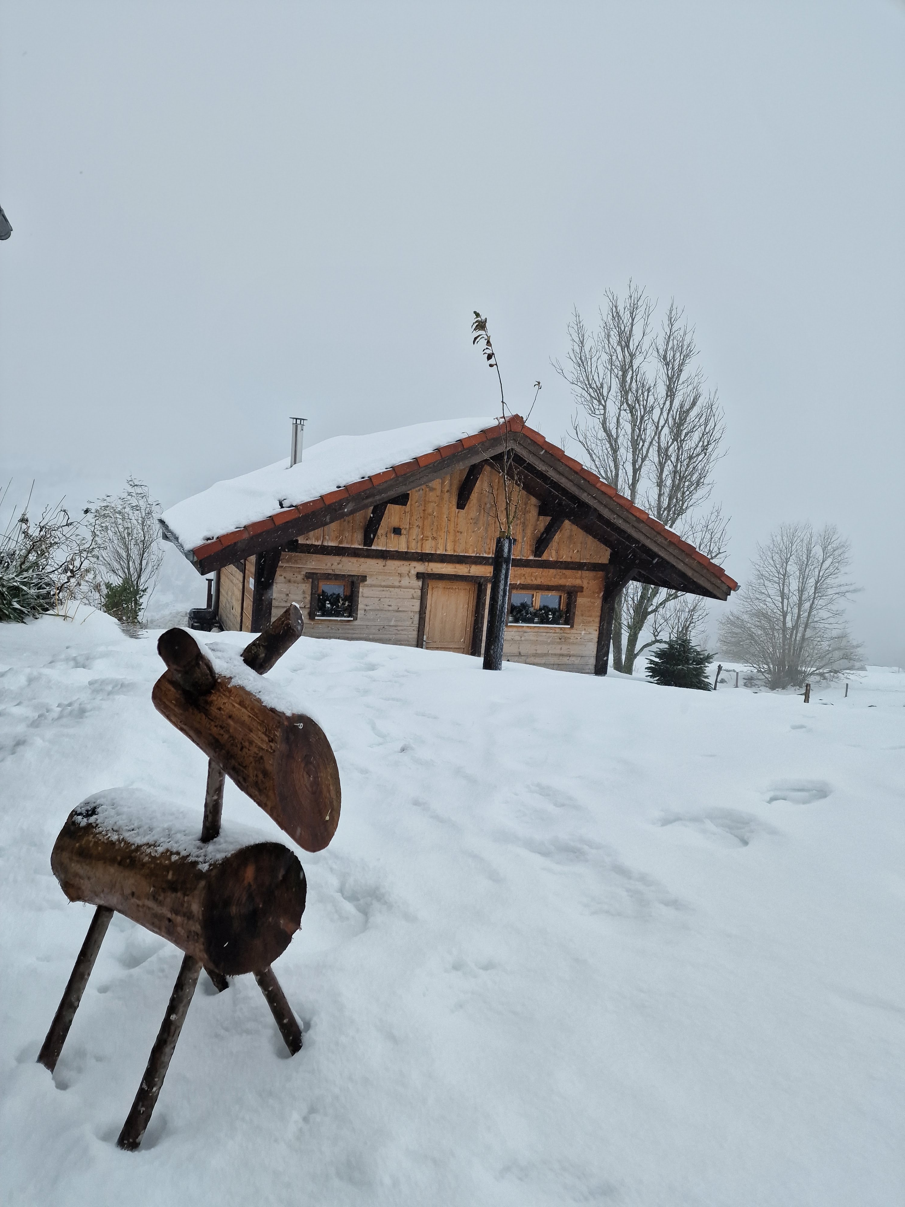 Photo n° 3 de l'avis de Thibault.u fait le 09/12/2023 à 10:25