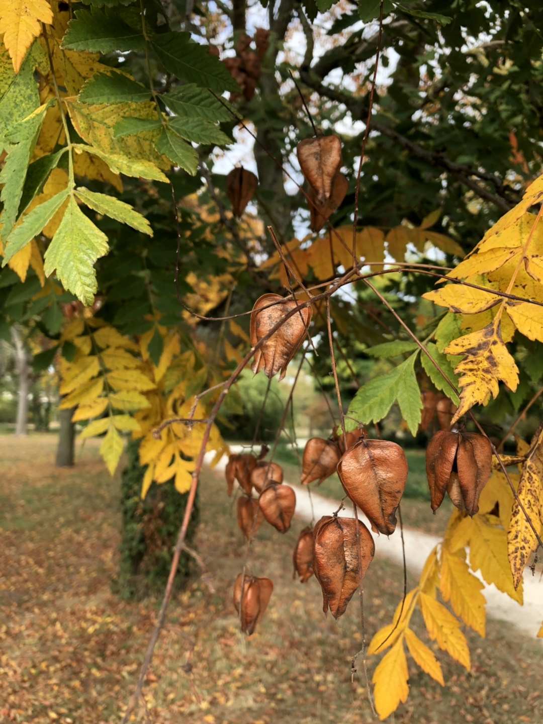 Photo n° 4 de l'avis de Olivier.a fait le 15/10/2018 à 05:33