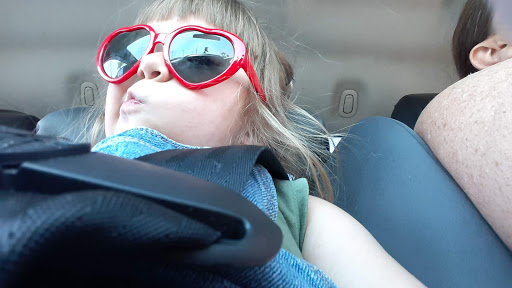 Pet Supply Store «Pet Supplies Plus», reviews and photos, 1411 S Stockton St, Lodi, CA 95240, USA