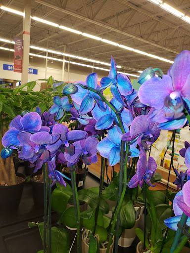 Grocery Store «Meijer», reviews and photos, 171 W Town Square Way, Oak Creek, WI 53154, USA