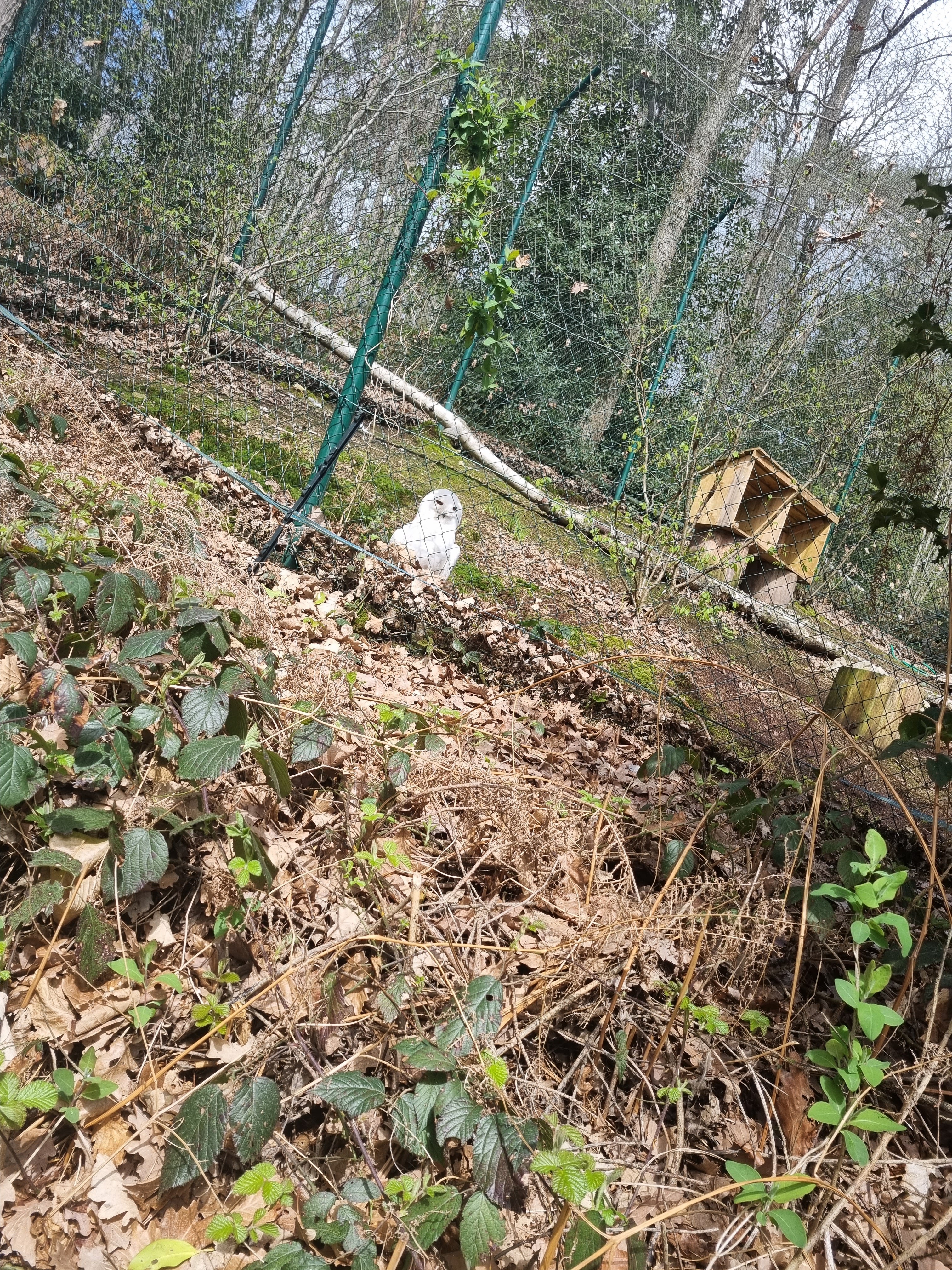 Photo n° 1 de l'avis de aurelmhkh. fait le 29/04/2023 à 08:44