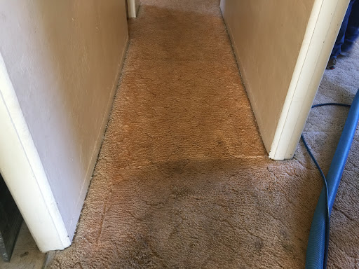 Aladdin Carpet Cleaning & Restoration in Farmington, New Mexico