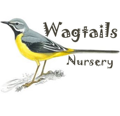 Wagtails Nursery Ltd