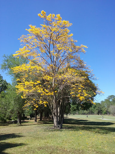 Country Club «Rio Pinar Country Club», reviews and photos, 8600 El Prado Ave, Orlando, FL 32825, USA