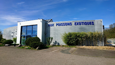 Aux Poissons Exotiques à Saint-Julien-lès-Metz
