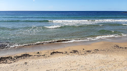 Spiaggia di Poddine'in fotoğrafı çok temiz temizlik seviyesi ile
