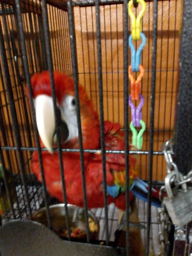 Bird Shop «The Aviary at Cauley Square», reviews and photos, 22400 Old Dixie Hwy, Miami, FL 33170, USA