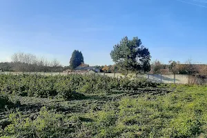 Ogródki Działkowe "Podlesie" image