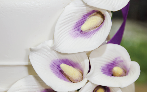 Cake Shop «Cake Boutique», reviews and photos, 4248 N River Rd NE, Warren, OH 44484, USA