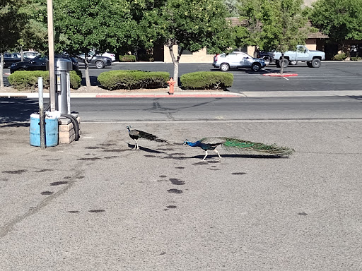 $1.50 Wash en Carson City
