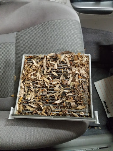 Auto Repair Shop «Far East Motors Service Center», reviews and photos, 963 Selim Rd, Silver Spring, MD 20910, USA