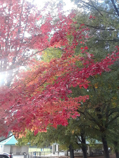 Park «Best Friend Park», reviews and photos, 6224 Jimmy Carter Blvd, Norcross, GA 30071, USA