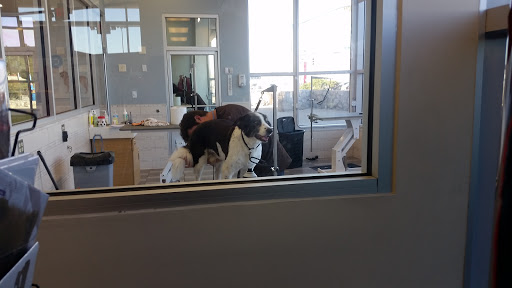 Pet Supply Store «Petco Animal Supplies», reviews and photos, 5994 Montana Ave, El Paso, TX 79925, USA